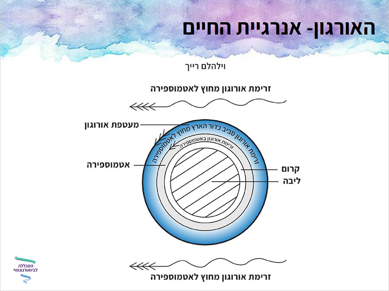 עיצוב מצגת תרשים